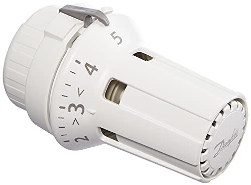 Danfoss RAW Fühler